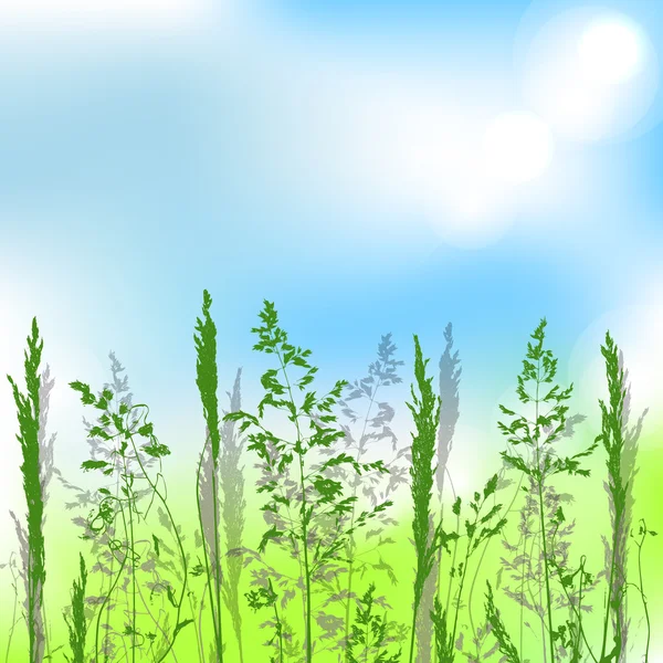 Champ d'été herbe fond — Image vectorielle
