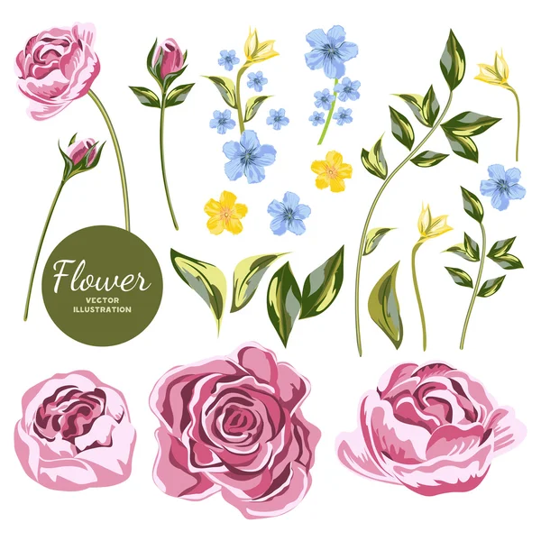 Conjunto de flores silvestres azules y amarillas y rosas rosadas . — Vector de stock