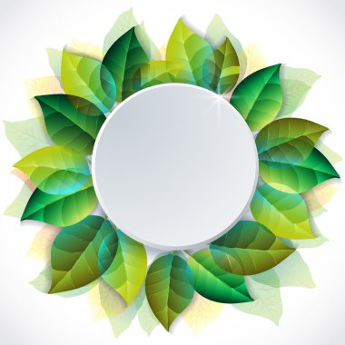 Summer Mockup Templates with summer leaves