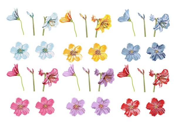 Big Collection Flowers. Violet, blue, red, pink, yellow f — Stockvector