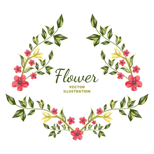 Wildflowers and roses flowers set — Stock Vector