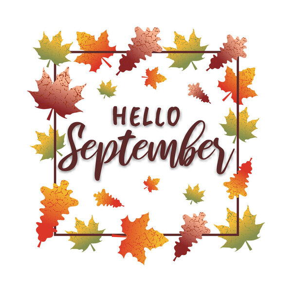 Hand drawn typography lettering phrase with autumn leaves, Autumn leaf ornamental frame. Hello september