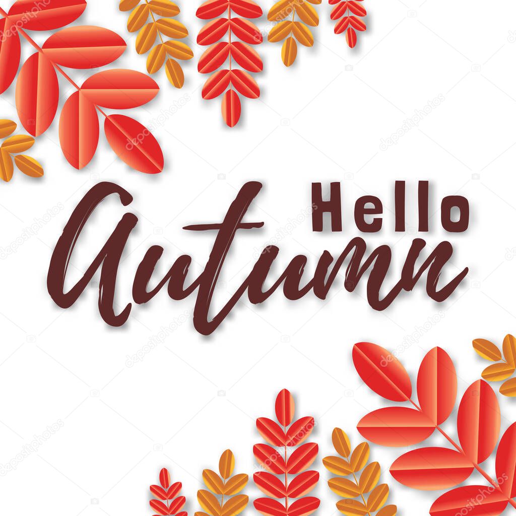 Vector background with hand lettering Hello autumn and leaves isolated on white background.