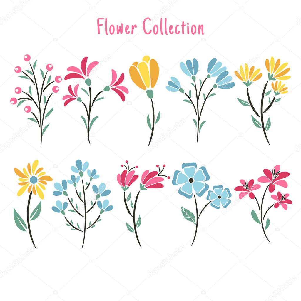 Set Of Floral Elements Flower and Leaves, Flower Collection