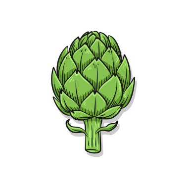 Tek bir taze yeşil enginar çizimi gurme yemek paketleme ya da Akdeniz diyet görsel rehberleri için birebir..