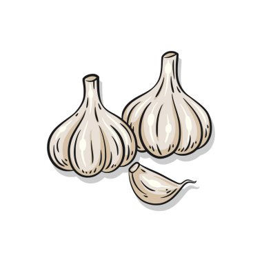 İki tam sarımsak soğanı ve tek bir karanfil, baharat ikonları veya yemek tarifi listeleri için kullanışlı..