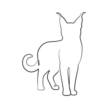 Belirgin bir kuyruk kıvrımı olan ayakta duran bir kedinin tasviri, dekoratif duvar sanatı veya web grafikleri için ideal..