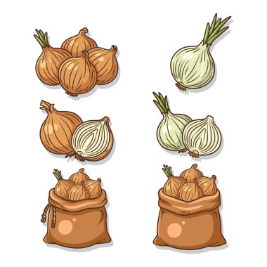 Profesyonel bir vektör seti sarı soğan grupları, iç katmanları gösteren çapraz kesitler ve tarım pazarı tasarımları için çuval bezlerine doldurulmuş soğanlar içerir..