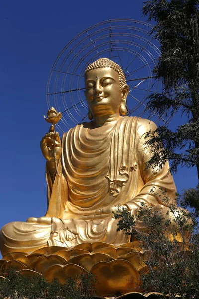 Буддийский Монастырь Ван Хань Дзен Статуя Золотого Будды Далат Вьетнам — стоковое фото