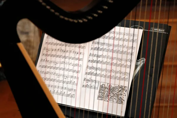 教会でハープを弾く女性 神聖な音楽 楽譜だ 聖ニコラス ヴロセ教会 フランス — ストック写真