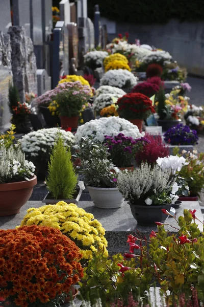 Begraafplaats Allerheiligen Chrysant Graf Sint Gervais Frankrijk — Stockfoto