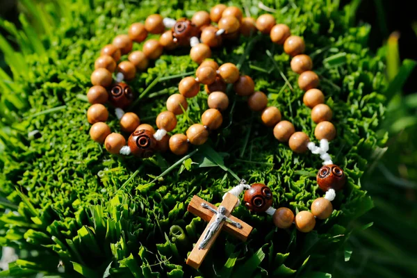 Perles Prière Catholiques Sur Une Tige Riz Prêt Être Planté — Photo