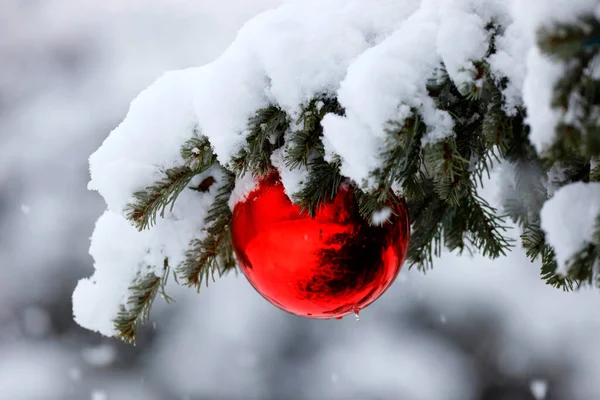 Árvore Natal Inverno Com Decorações França — Fotografia de Stock