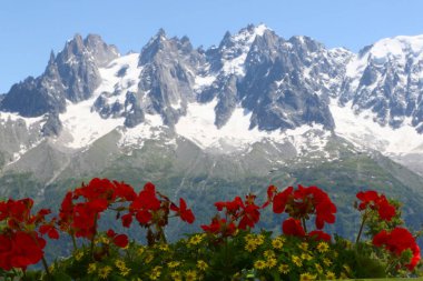 Fransız Alpleri. Mont Blanc Massif. Fransa. 