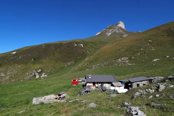 Alpy Francuskie Fabryka Sera Beaufort Wysokich Pastwiskach Peisey Nancroix Francja — Zdjęcie stockowe