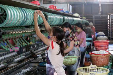 Geleneksel ipek fabrikası. İpek dönen makinede çalışan bir kadın. Dalat. Vietnam. 