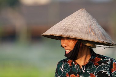 Geleneksel palmiye yaprağı koni şapkası takan gülümseyen Vietnamlı kadın. Portre. Hoi An. Vietnam. 