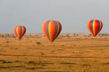 Afrika savanasının üzerinde sabahın erken saatlerinde sıcak hava balonu uçuşu. Masai Mara oyun rezervi. Kenya. 