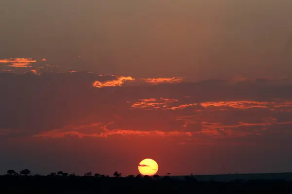 Солнце Восходит Над Саванной Масаи Мара Резерв Кения — стоковое фото