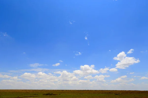 Afrikai Szavanna Arany Síkság Kék Ellen Felhőkkel Masai Mara Vadrezervátum — Stock Fotó