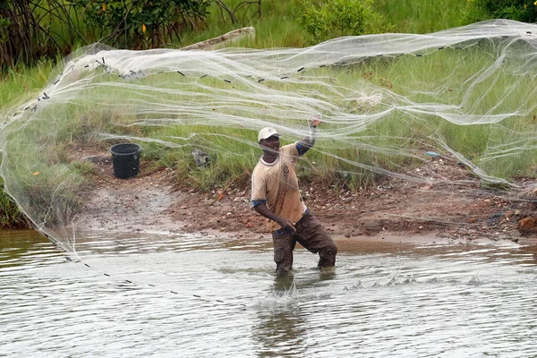 Afrikanischer Fischer Wirft Netz Den Fluss — Stockfoto