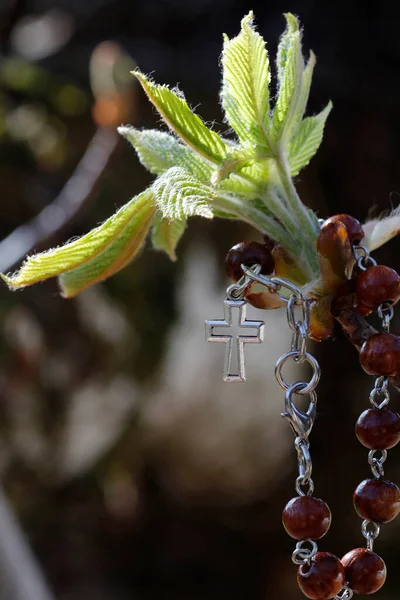 Hristiyan Haçı Kestane Tozu Lkbahar — Stok fotoğraf