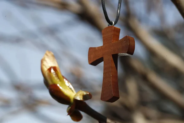 Hıristiyan Haçı Tomurcuğu Engelleri Aşan Hayatın Sembolü — Stok fotoğraf