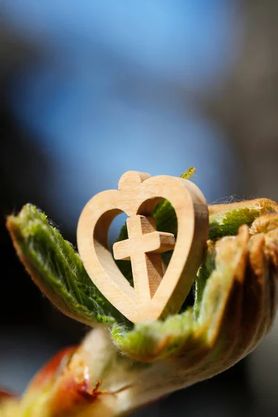 Christian Cross Chestnut Bud Springtime — Stock Photo, Image