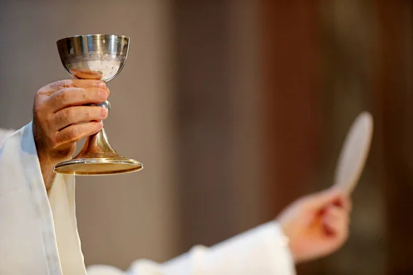 Iglesia Católica Misa Dominical Sacerdote Celebración Eucarística — Foto de Stock