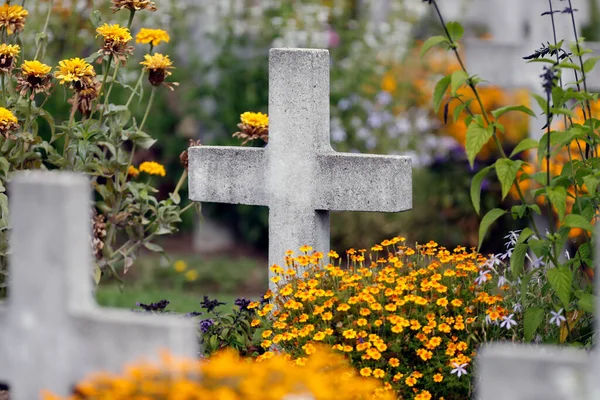 Dzień Wszystkich Świętych Cmentarzu Cmentarz Wojskowy Druga Wojna Światowa — Zdjęcie stockowe