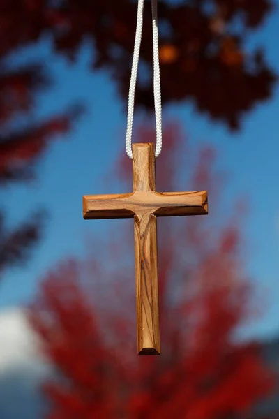 나뭇잎이 가지에 기독교 십자가 — 스톡 사진