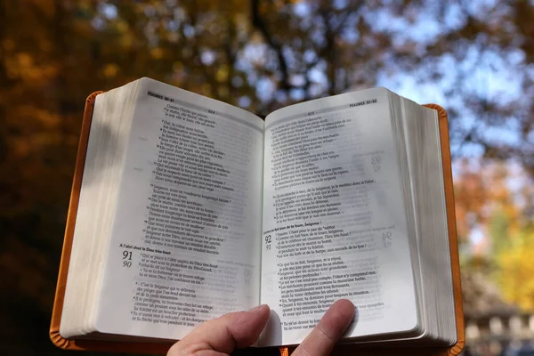 Mężczyzna Trzymający Otwartą Biblię Las Jesienią — Zdjęcie stockowe