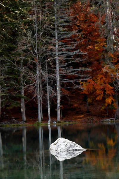 Lago Verde Lac Vert Autunno Alpi Francesi — Foto Stock