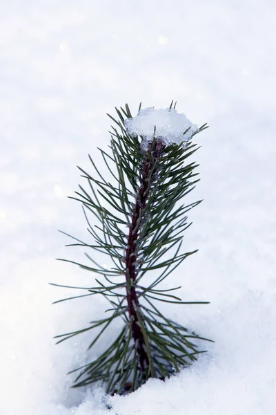 Alpi Francesi Inverno Saint Gervais Francia — Foto Stock