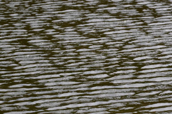 Estructuras Agua Lago Francia — Foto de Stock