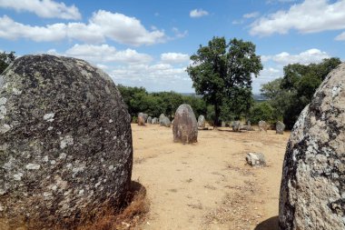 Almendres 'in Cromlech' i megalitik bir kompleks. Avrupa 'nın mevcut en büyük yapılandırılmış menhir gruplarından biridir. Portekiz. 