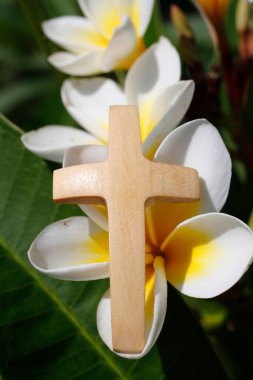 Hıristiyan haçının taze beyaz manolya çiçeğine yakın plan çekimi. İnanç ve maneviyat. 