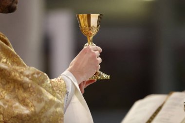 Saint Francois de Sales Bazilikası. Katolik ayini. Ayin kutlaması. Thonon. Fransa. 