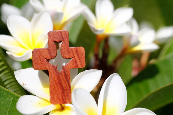 Scatto Ravvicinato Una Croce Cristiana Con Spirito Santo Congedo Magnolia — Foto Stock