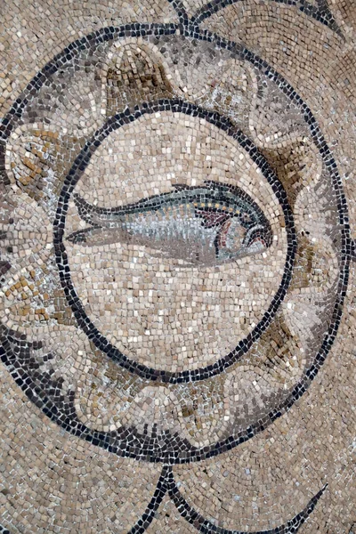 Basílica Patriarcal Aquileia Piso Mosaico Com Simbolismo Cristão Século Peixe — Fotografia de Stock