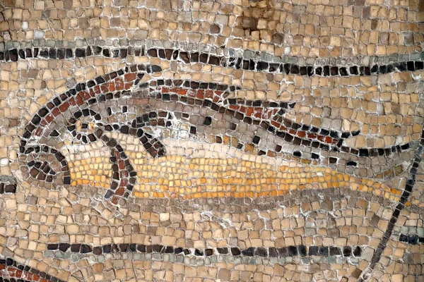 Basílica Patriarcal Aquileia Piso Mosaico Com Simbolismo Cristão Século Peixe — Fotografia de Stock