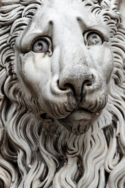 Cenova Katedrali, San Lorenzo Katedrali. Aslan başı. Heykel. Ceneviz. İtalya. 