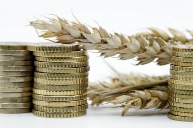 Buğday kulakları ve bozuk paralar. Adil ticaret. Emtia ticareti. Tarım hasat kavramı. 