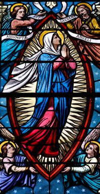 Aziz Pierre Kilisesi. Lekeli cam. Cennete Meryem 'in Varsayımı. Çok dokunaklı. Fransa.