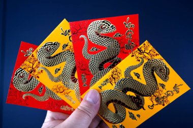 Çin ve Vietnam 'ın yeni yıl kutlamaları için kırmızı zarflı Asyalı kadın. Kırmızı renk iyi şansın sembolüdür. Yılan Yılı.