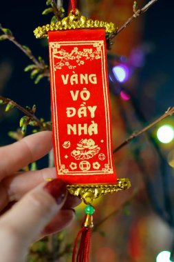 Vietnam 'ın yeni yılı. Şans ve şans getirmesi için sarı bir ağaca asılmış..
