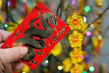 Çin ve Vietnam Yeni Yıl kutlamaları için kırmızı zarflar (hongbao). Kırmızı renk iyi şansın sembolüdür..