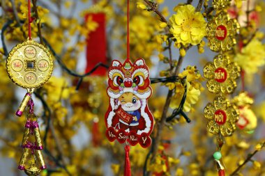 Çin Yeni Yılı. Vietnam Tet kutlaması için süslenmiş sarı ağaç. Evde din var..