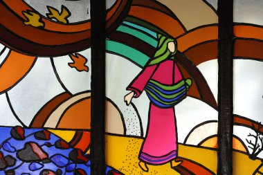 Kon Tum Katedrali, Tahta Kilise olarak da bilinir. Lekeli cam pencere. Bir ekin tanesi misali; Bir adam tahıl ekmek için dışarı çıktı. Adam Tanrı 'yı temsil ediyor ve tohum da O' nun mesajı. Kontum. Vietnam.