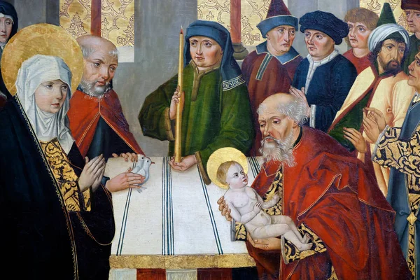 Ulusal Müze. Tapınakta İsa 'nın sunumu. Striegau 'daki Knights Hastanesi' nden 1486 köknar ağacı paneli. Varşova. Polonya.